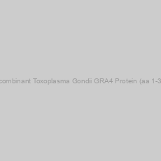 Image of Recombinant Toxoplasma Gondii GRA4 Protein (aa 1-345)